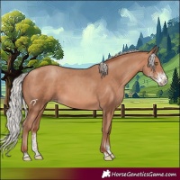 Horse Color:Silver Sable Champagne Sabino 