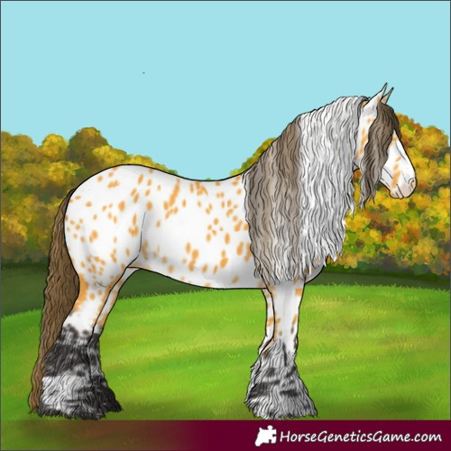 Horse Color:Buckskin Near Leopard 