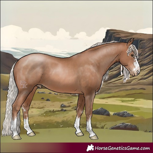 Horse Color:Silver Brown Pearl 