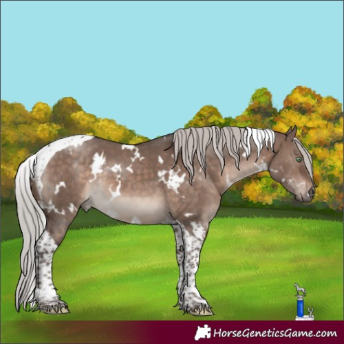 Horse Color:White Spotted Silver Brown Dun Mushroom Tobiano 