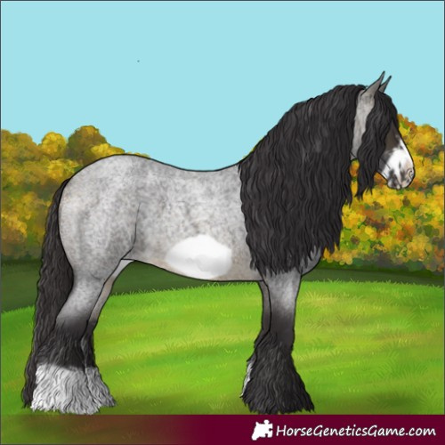 Horse Color:Buckskin Roan Sabino Frame 