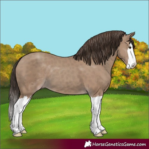 Horse Color:Classic Champagne Splash