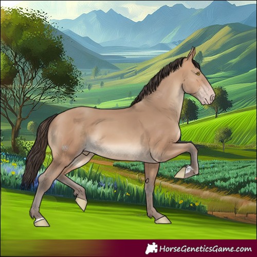 Horse Color:Amber Champagne 