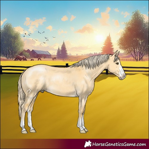 Horse Color:Palomino Dun 