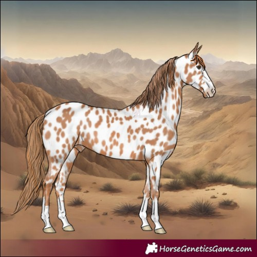 Horse Color:Chestnut Near Leopard 