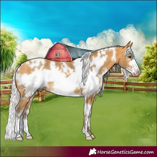 Horse Color:White Spotted Silver Buckskin Frame 