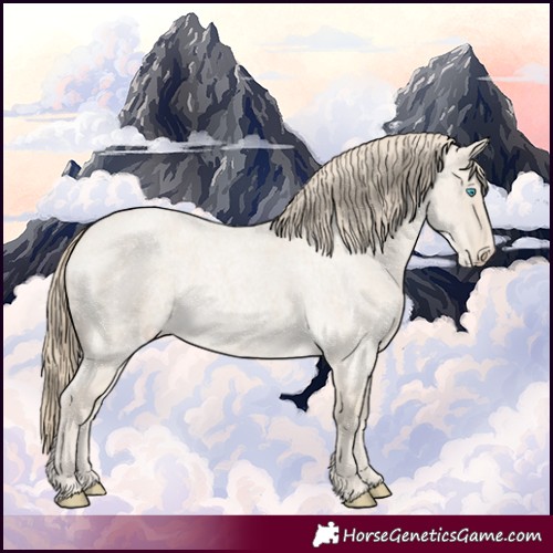 Horse Color:Smoky Creme Roan 