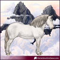 Horse Color:Smoky Creme Roan