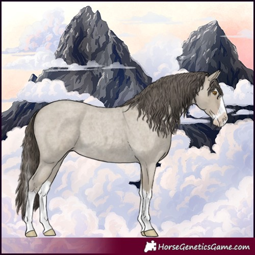 Horse Color:Classic Cream Champagne Roan Splash