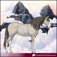 Horse Color:Classic Cream Champagne Roan Splash