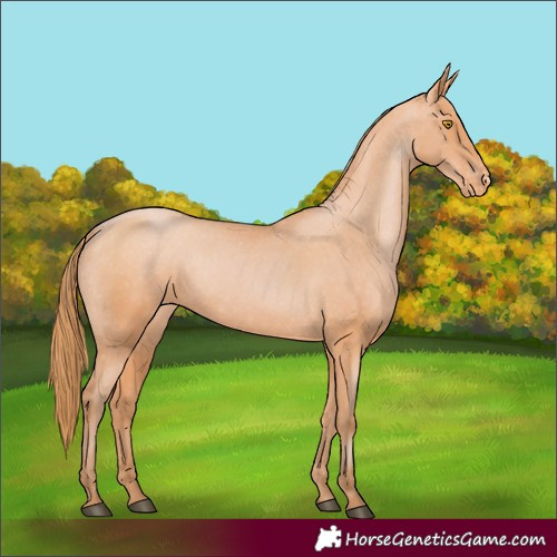 Horse Color:Bay Pearl Varnish 