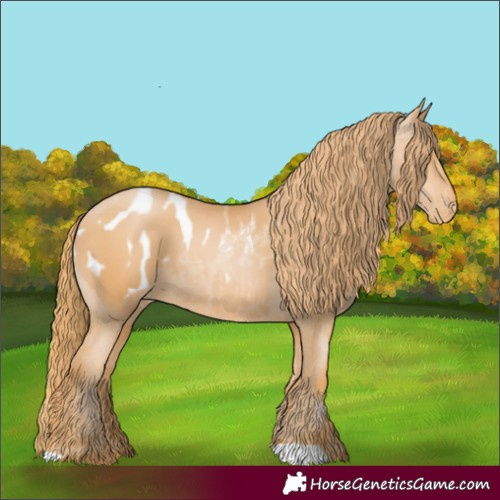 Horse Color:Chestnut Pearl Appaloosa