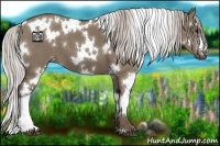 Horse Color:White Spotted Silver Grullo 