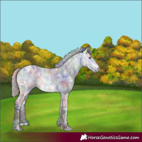 Horse Color:Nacre White Spotted Silver Buckskin Chinchilla Ice