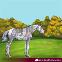 Horse Color:Nacre Silver Black Chinchilla Ice Tobiano Rabicano 