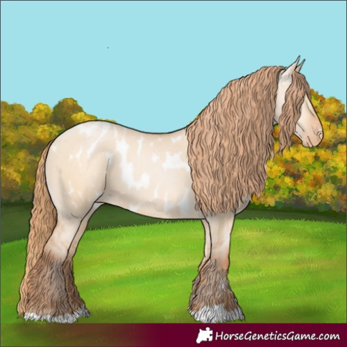 Horse Color:Bay Pearl Dun Appaloosa 