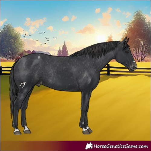 Horse Color:Black Varnish Rabicano 
