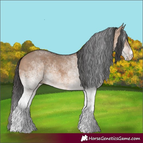 Horse Color:White Spotted Brown Dun