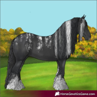 Horse Color:Powder White Black 