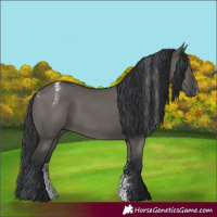 Horse Color:Powder White Grullo 