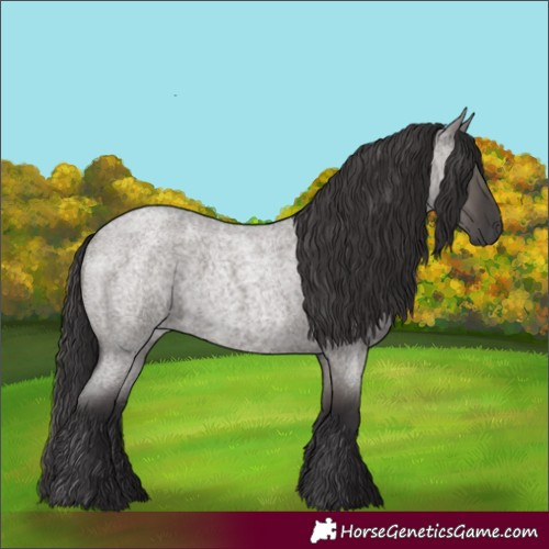 Horse Color:Smoky Grullo Roan 