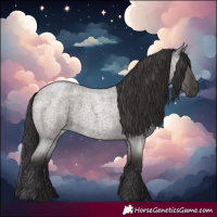 Horse Color:Smoky Grullo Roan 