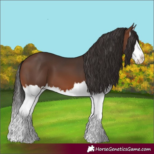 Horse Color:Brown Splash