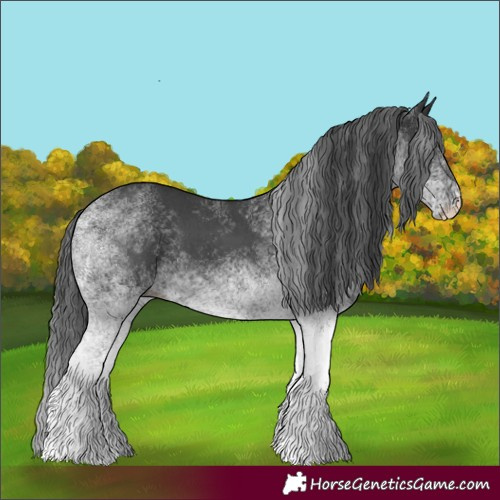 Horse Color:White Spotted Black