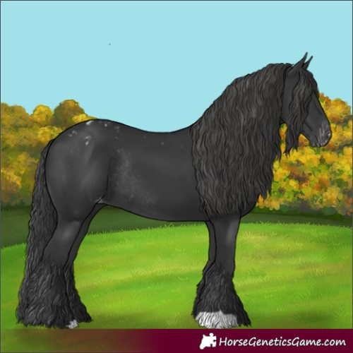 Horse Color:Black Varnish Rabicano 