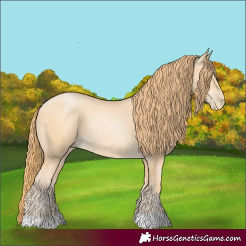 Horse Color:Buckskin Pearl 