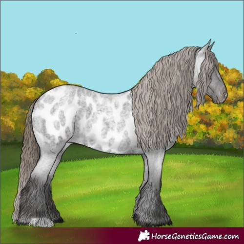 Horse Color:Smoky Blue Roan Blanket 