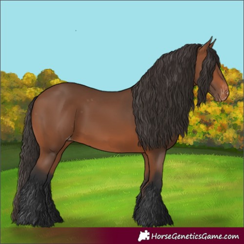 Horse Color:Bay Varnish 