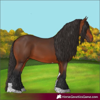 Horse Color:Bay Tobiano