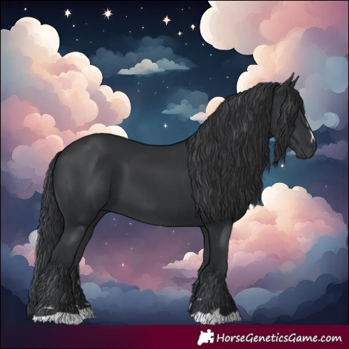 Horse Color:Black 