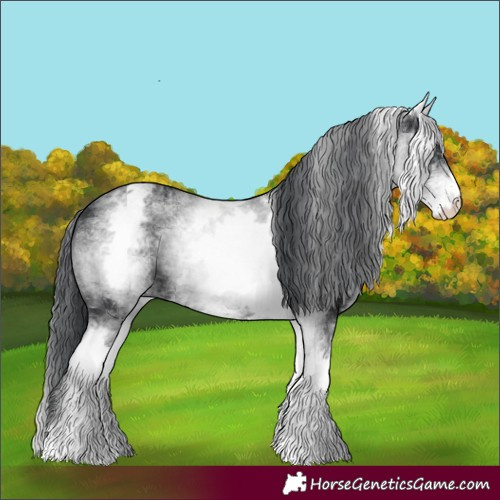 Horse Color:White Spotted Black 