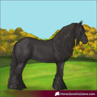 Horse Color:Smoky Black 