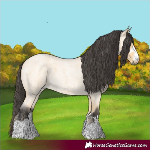 Horse Color:Buckskin Roan 