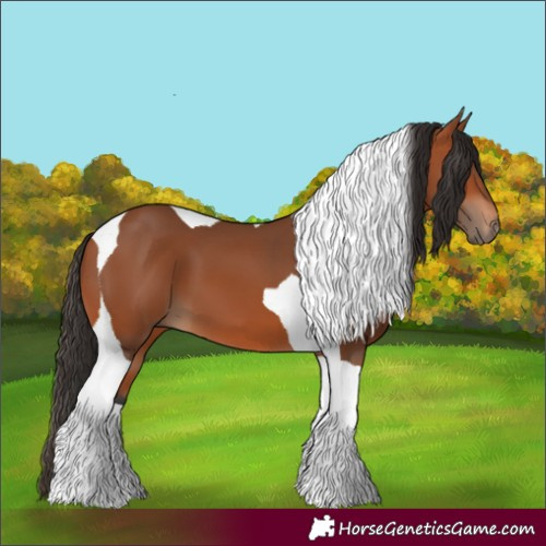 Horse Color:Bay Tobiano 