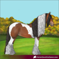 Horse Color:Bay Tobiano 