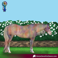 Horse Color:Nacre Chocolate Palomino Sabino Appaloosa Rabicano 