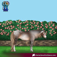 Horse Color:Gray Liver Chestnut Sabino Tobiano 