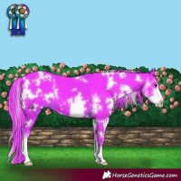 Horse Color:Watercolor White Spotted Liver Chestnut Sabino 