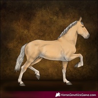 Horse Color:Palomino Dun 