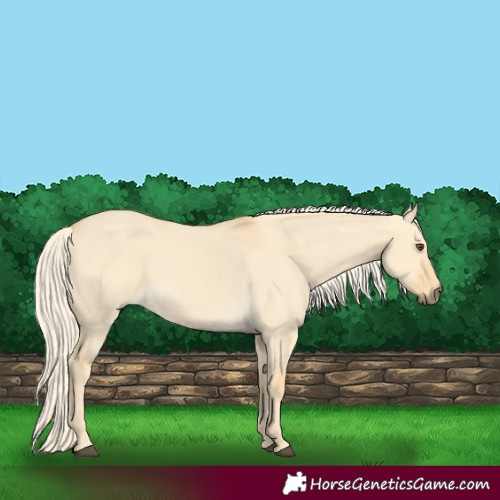 Horse Color:Palomino Dun