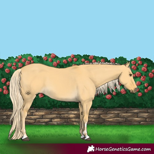 Horse Color:Palomino Dun