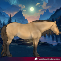 Horse Color:Buckskin Dun 