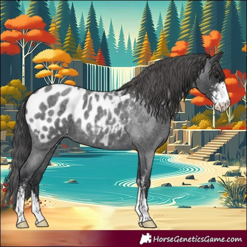 Horse Color:Blue Roan Sabino Blanket