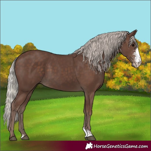 Horse Color:Silver Black Sabino 