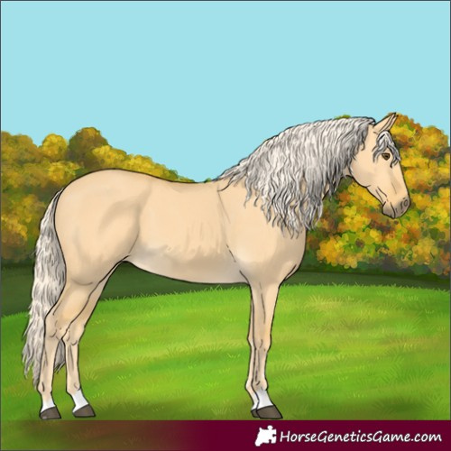 Horse Color:Palomino Dun 