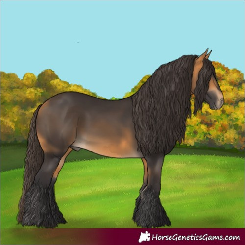 Horse Color:Buckskin 